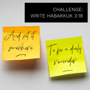 Read more about the article Daily Devo 24 – Rollercoasters